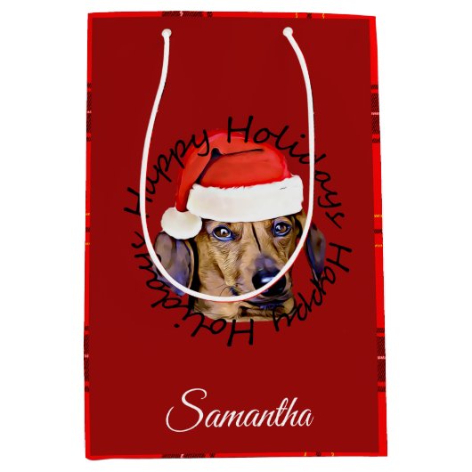クリスマスダックシュンドドッグパーソナライズされた抱き枕 ミディアムペーパーバッグ (正面)