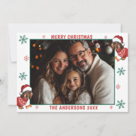 クリスマスダックスントの写真 シーズンカード