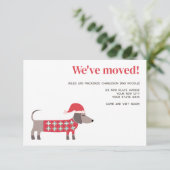 クリスマスダッチンドドッグの動きのお知らせ 案内状 (スタンド正面)