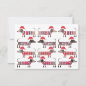 クリスマスダッチンドドッグの動きのお知らせ 案内状 (裏面)