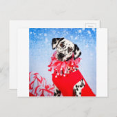 クリスマスダルマチア シーズンポストカード (正面/裏面)