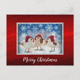 クリスマスチキン雪の水の色クリスマス ポストカード