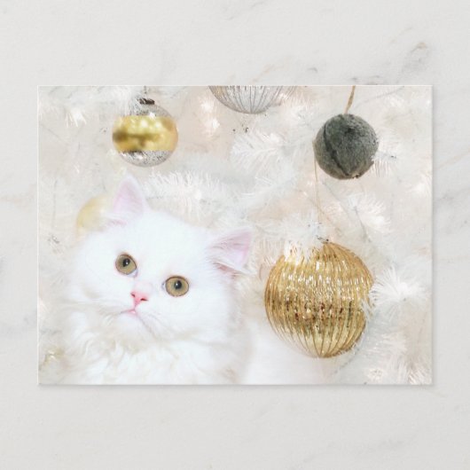 クリスマスツリーおよび子猫猫のマッチ シーズンポストカード (正面)