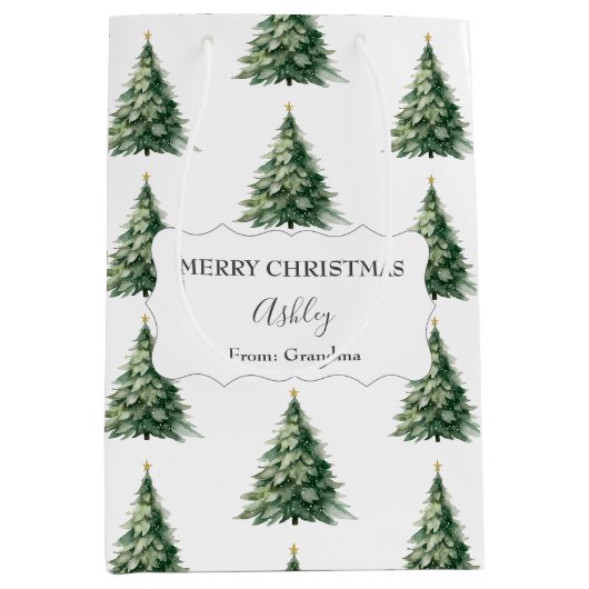 クリスマスツリーからのメッセージ 名前入り ミディアムペーパーバッグ (正面)