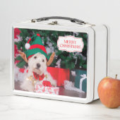 クリスマスツリーが飾られた可愛いクリスマス犬 メタルランチボックス (インサイチュ)