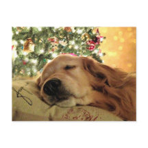 クリスマスツリーで眠っているゴールデンレトリバー