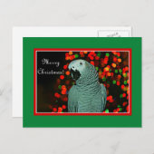 クリスマスツリーとア絵画フリカの灰色のオウム シーズンポストカード (正面/裏面)