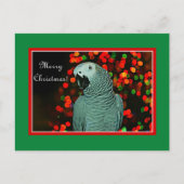 クリスマスツリーとア絵画フリカの灰色のオウム シーズンポストカード (正面)
