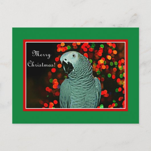 クリスマスツリーとア絵画フリカの灰色のオウム シーズンポストカード (正面)