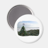 クリスマスツリーとビーチ岩 マグネット (正面/裏面)