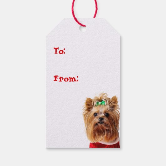 クリスマスツリーとメリークリスマスサンタヨークシャーテリア ギフトタグ (裏面)