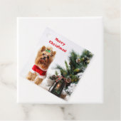 クリスマスツリーとメリークリスマスサンタヨークシャーテリア フェイバータグ (インサイチュ)