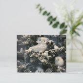 クリスマスツリーに飾るフクロウ シーズンポストカード (スタンド正面)