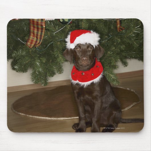 クリスマスツリーのそばに座っている犬 マウスパッド (正面)
