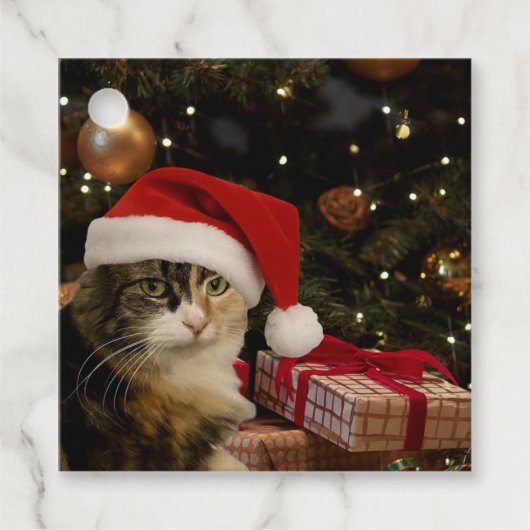 クリスマスツリーのそばのサンタ猫 ギフトタグ フェイバータグ (正面)