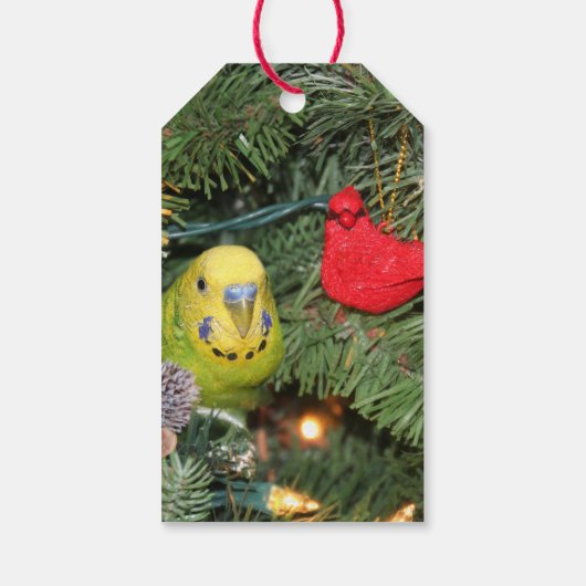 クリスマスツリーのインコ ギフトタグ (裏面)