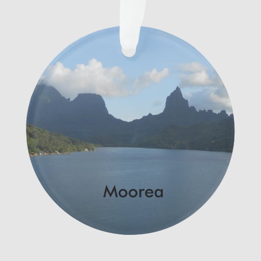 クリスマスツリーのオーナメント オーナメント (正面)