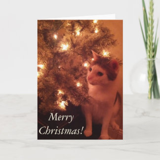 クリスマスツリーのグリーティングカードによる子猫 シーズンカード