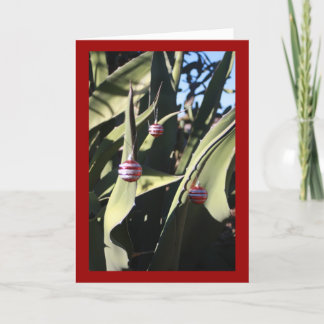 クリスマスツリーのサボテン シーズンカード