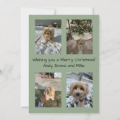 クリスマスツリーのメリークリスマスカード 招待状 (裏面)