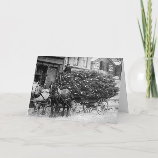 クリスマスツリーのロード, 1910 シーズンカード (正面)