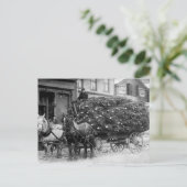 クリスマスツリーのロード, 1910 シーズンポストカード (スタンド正面)