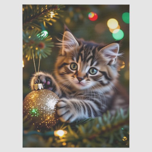 クリスマスツリーの上の小さな子猫 薄葉紙 (正面)