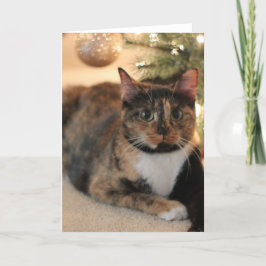 クリスマスツリーの下のカリコ子猫 シーズンカード