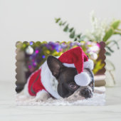 クリスマスツリーの下のサンタの帽子のフレンチ・ブルドッグ シーズンカード (スタンド正面)