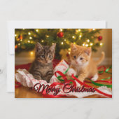 クリスマスツリーの下の可愛い子猫たち シーズンカード (正面)