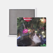 クリスマスツリーの下の居心地の良い猫 マグネット (正面/裏面)