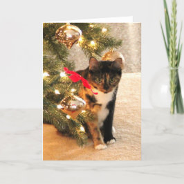 クリスマスツリーの下の茶色のぶち猫、中ブランク シーズンカード