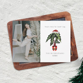 クリスマスツリーの代わりに観葉植物でクリスマスを楽しもう! 観葉植物の写真 シーズンカード