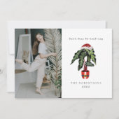 クリスマスツリーの代わりに観葉植物でクリスマスを楽しもう！　観葉植物の写真 シーズンカード (正面)