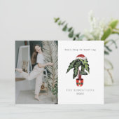 クリスマスツリーの代わりに観葉植物でクリスマスを楽しもう！　観葉植物の写真 シーズンカード (スタンド正面)