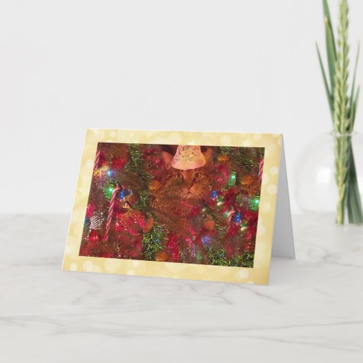 クリスマスツリーの休日に猫 カード (正面)