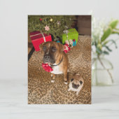 クリスマスツリーの前に坐るパグおよびボクサー シーズンカード (スタンド正面)