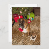 クリスマスツリーの前に坐るパグおよびボクサー シーズンポストカード (正面/裏面)
