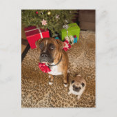 クリスマスツリーの前に坐るパグおよびボクサー シーズンポストカード (正面)