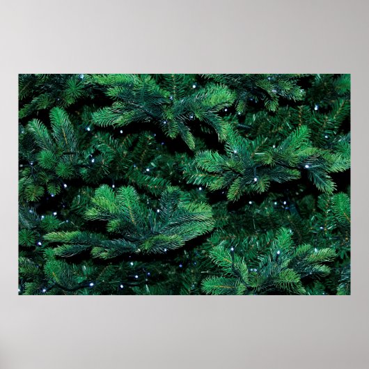 クリスマスツリーの小枝は松を植える ポスター (正面)
