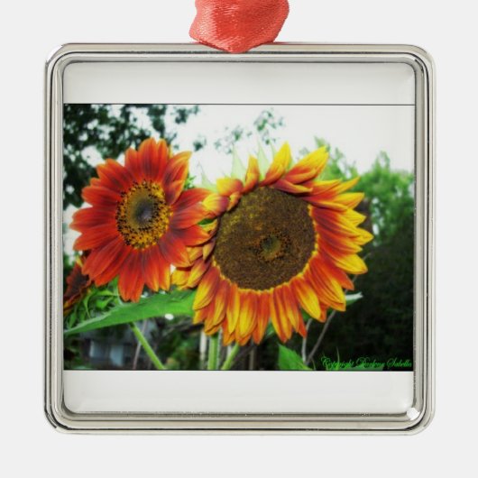 クリスマスツリーの植物相のオーナメント メタルオーナメント (正面)