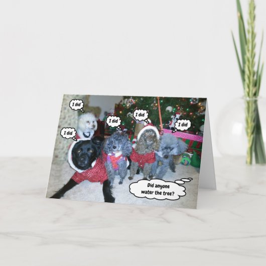 クリスマスツリーの水やりに一役買うかわいい犬たち カード (正面)