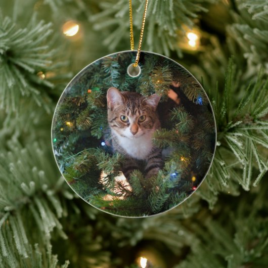 クリスマスツリーの猫 セラミックオーナメント (ツリー)
