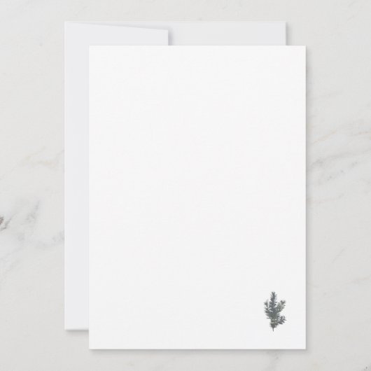 クリスマスツリーの緑のスプリースのクローズアップ、クリスマスの美感 シーズンカード (裏面)