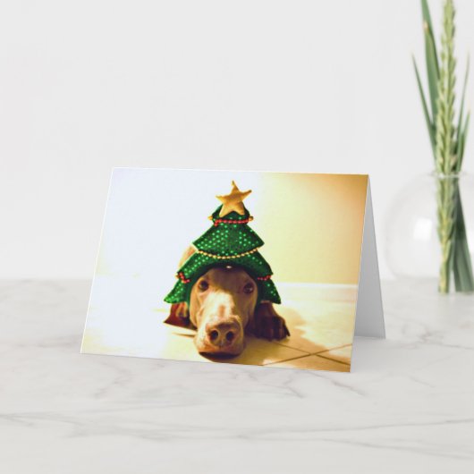 クリスマスツリーの頭部 シーズンカード (正面)