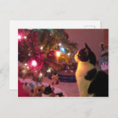 クリスマスツリーはがき付き白黒猫 ポストカード (正面/裏面)