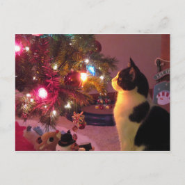 クリスマスツリーはがき付き白黒猫 ポストカード