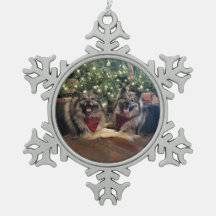 クリスマスツリーを持つKeeshond