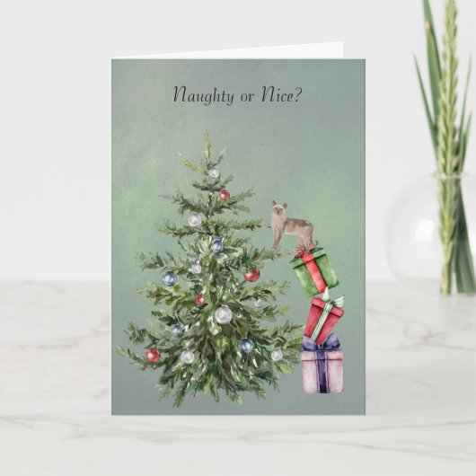 クリスマスツリーを登るかわいい猫のホリデーカード シーズンカード (正面)