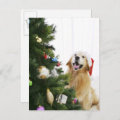 クリスマスツリーを見るゴールデン・リトリーバー シーズンポストカード (正面/裏面)